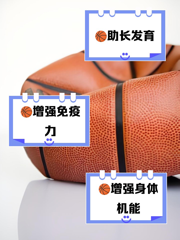 如何选择适合篮球康复训练的器材_0